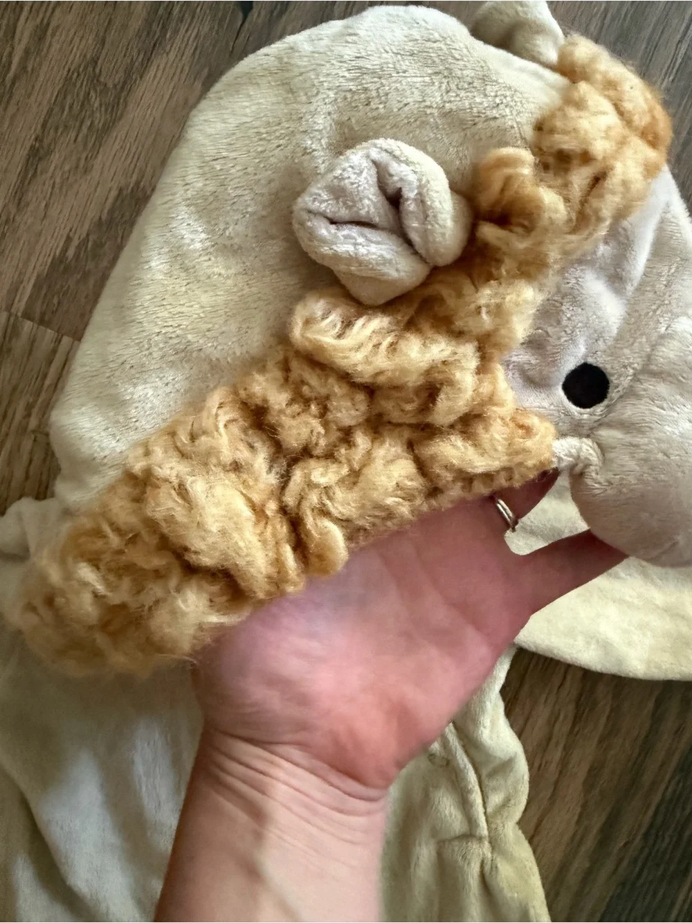 Pottery Barn Lion Halloween Costume